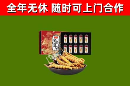石狮回收冬虫夏草价格